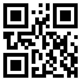 QrCode di 3304273067