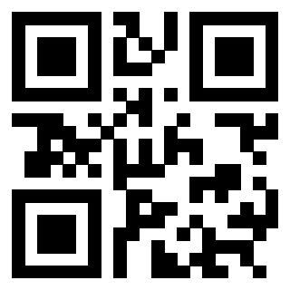 Il Qr Code di 3304273376