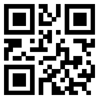 3304273389 - Immagine del QrCode