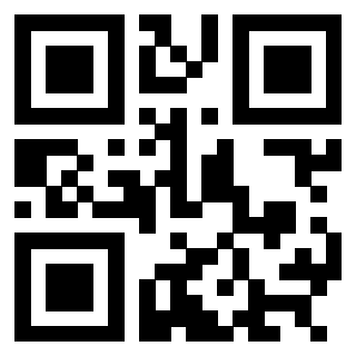 3304273491 Qr Code associato
