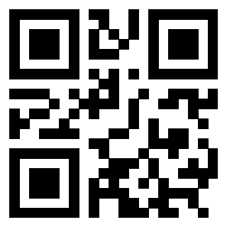 3304273691 Qr Code associato