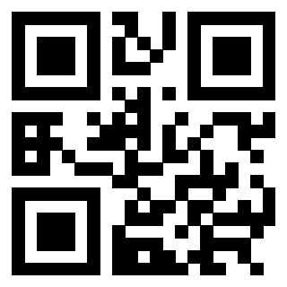 3304316009 QrCode associato