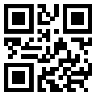 3304316599 - Immagine del QrCode