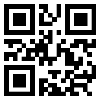 3304316613 - Immagine del QrCode associato