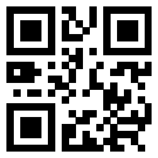3304316636 - Immagine del QrCode