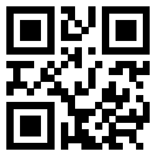 3304316651 - Immagine del QrCode