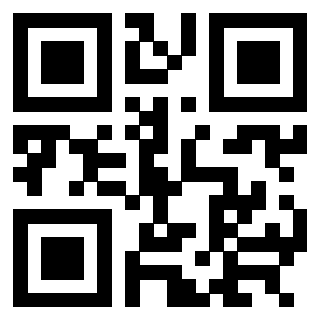 3304316667 - Immagine del QrCode