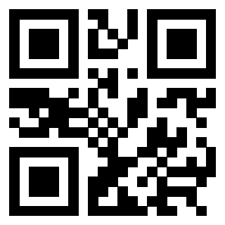 3304316704 - Immagine del QrCode