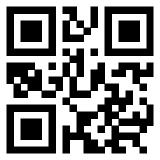 3304316735 - Immagine del QrCode