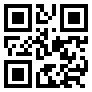 3304316813 QrCode associato