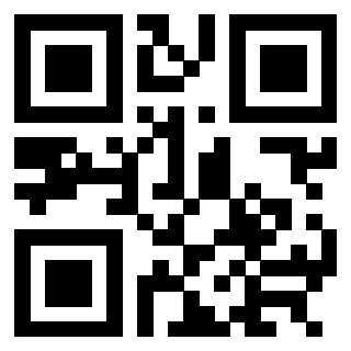 3304325454 - Immagine del QrCode