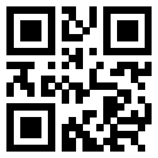 3304325667 Qr Code associato