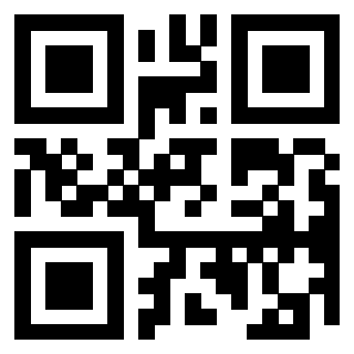 QrCode di 3304325866