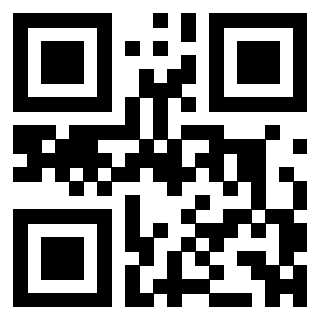 3304325875 - Immagine del QrCode