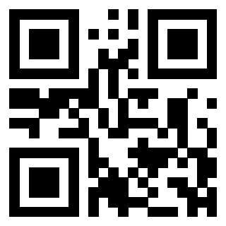 QrCode di 3304325903