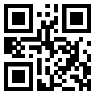 3304326125 - Immagine del QrCode
