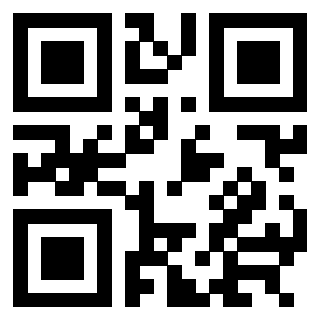 3304326313 - Immagine del QrCode