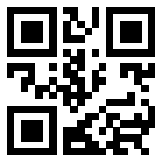 3304342951 Qr Code associato
