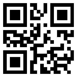 3304342995 - Immagine del QrCode