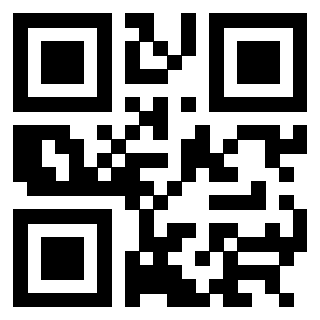 QrCode di 3304343113