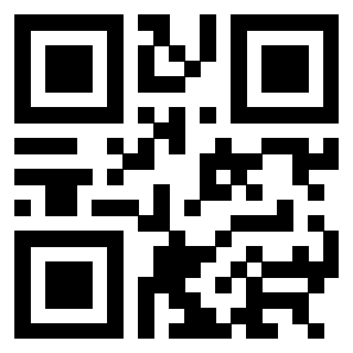 3304343260 - Immagine del QrCode