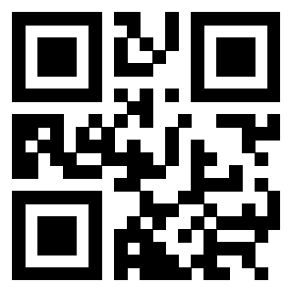 3304343304 - Immagine del QrCode
