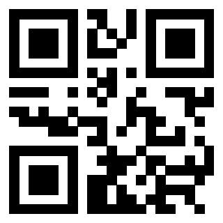 3304343381 - Immagine del QrCode