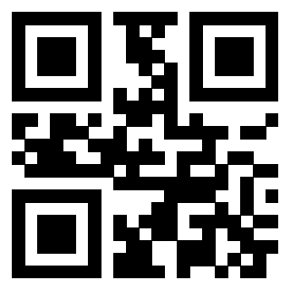 Immagine del QrCode di 3304343435