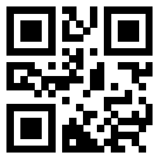 3304343446 Qr Code associato