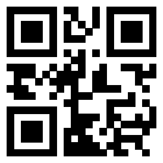 3304343487 QrCode associato