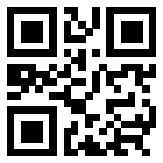 3304343776 - Immagine del QrCode