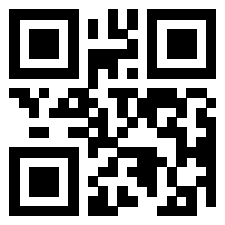 3304343787 - Immagine del QrCode