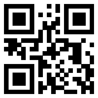Il QrCode di 3304343834