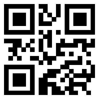 3304343884 - Immagine del QrCode