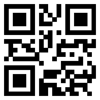 Il Qr Code di 3304343889