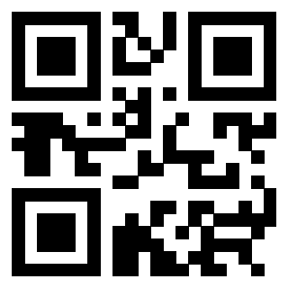 Il QrCode di 3304343903