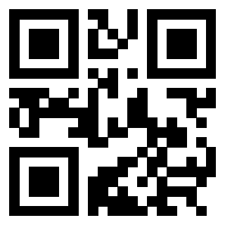 3304357491 - Immagine del QrCode