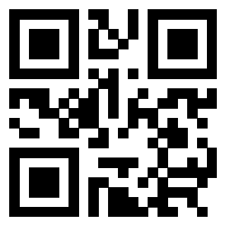 3304357602 - Immagine del QrCode