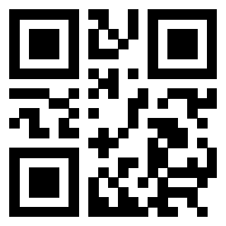QrCode di 3304358197