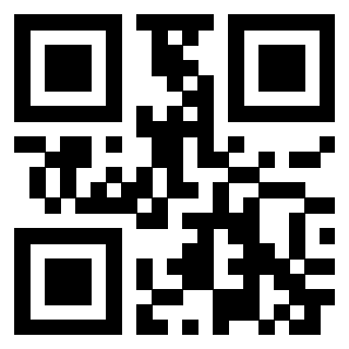QrCode di 3304393297