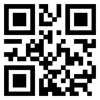 3304393381 - Immagine del QrCode