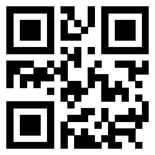 QrCode di 3304393383