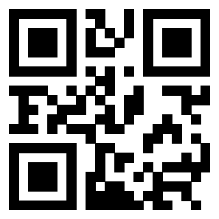 3304393466 - Immagine del QrCode