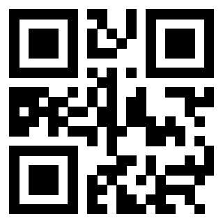 3304393493 QrCode associato
