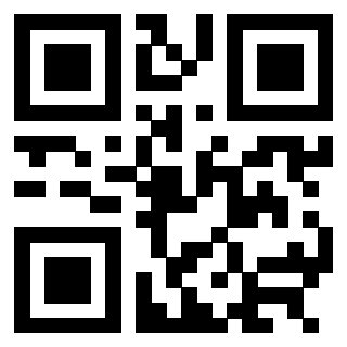Il Qr Code di 3304393611
