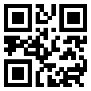 Il Qr Code di 3304393622