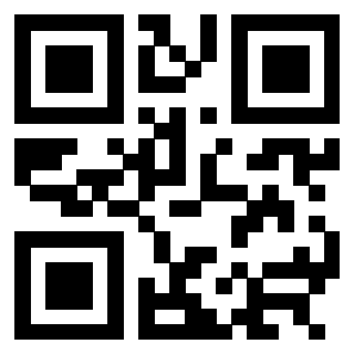 3304393666 - Immagine del QrCode