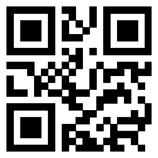 3304393788 - Immagine del QrCode