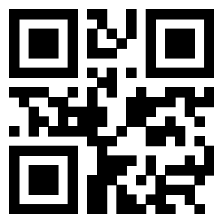 3304393813 - Immagine del QrCode associato