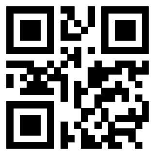 QrCode di 3304393819